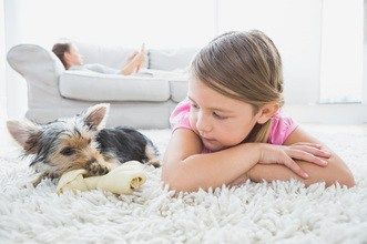 Geelong’s Cleanest Carpets