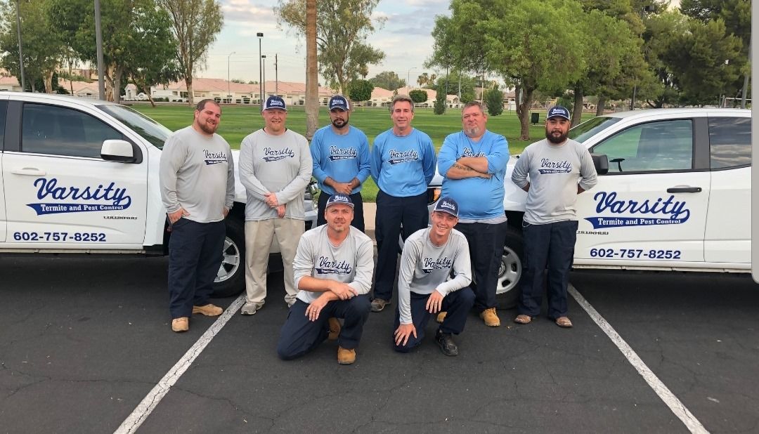 Varsity Termite and Pest Control LLC