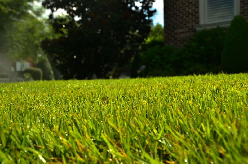 GreenPal Lawn Care