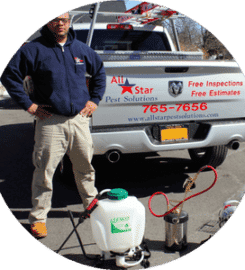 All Star Pest Solutions
