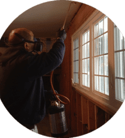 All Star Pest Solutions