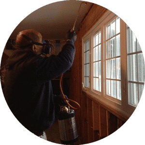 All Star Pest Solutions