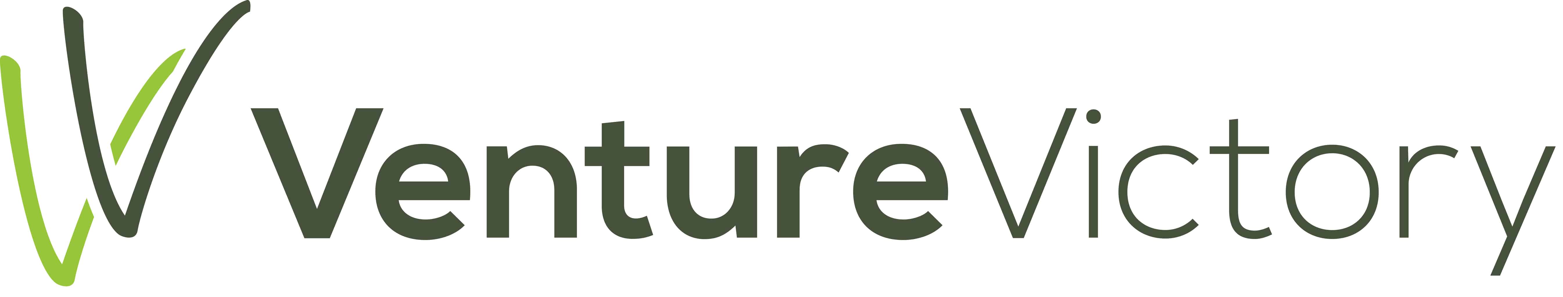 Venture Victory
