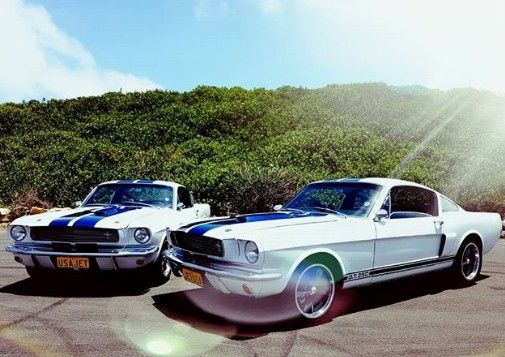 Mustang Moments