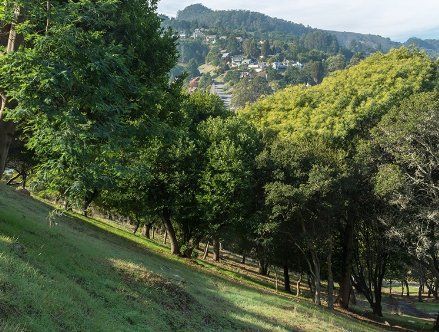 Fernwood Cemetery