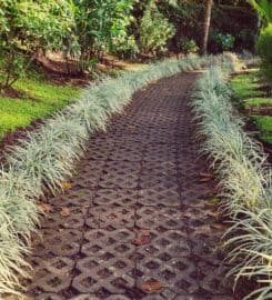 Tree Tech NZ