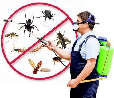 Pest Control Huntington NY