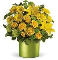 Same Day Flower Delivery El Paso TX – Send Flowers