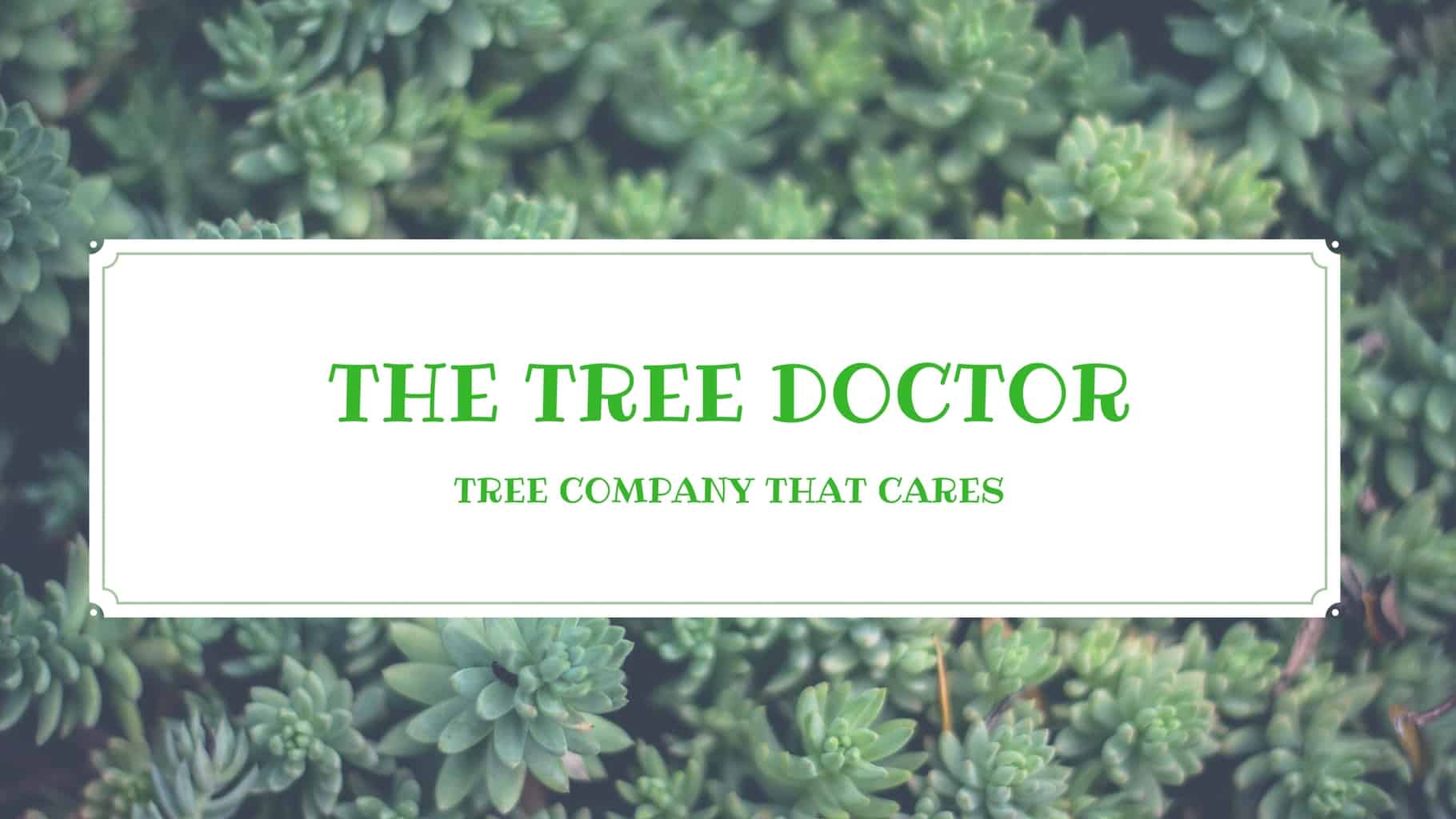 The Tree Doctor