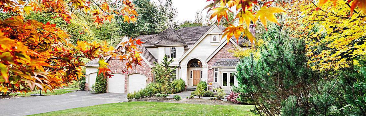 Will-Stein-Belair Realty
