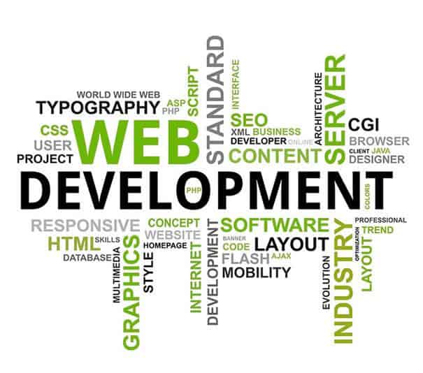 Custom Affordable Logo & Website Design Development  Company Florida