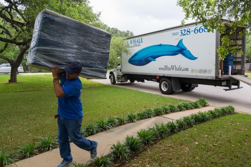 Blue Whale Moving Company