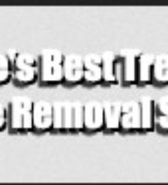 Okeechobee’s Best Tree Trimming and Tree Removal Services