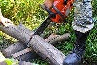 Orlando Tree Solutions
