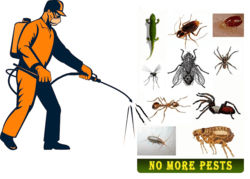 Pestong Pest and Animal Control Inc.