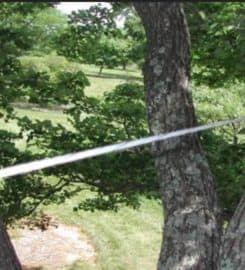 Okeechobee’s Best Tree Trimming and Tree Removal Services