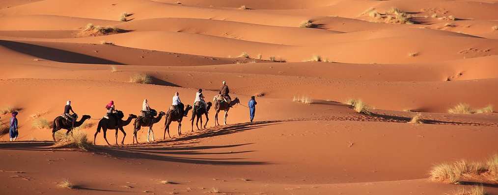 Sahara holiday tours
