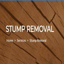 Orange County Stump Removal