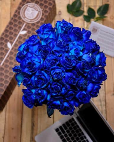 Best Roses Shop