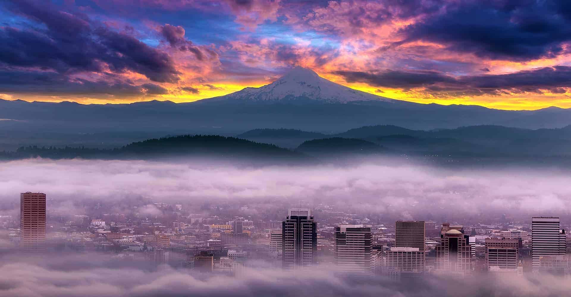 OWS Digital Marketing Agency Portland