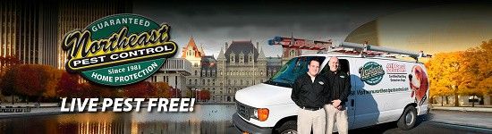 Northeast Pest Control
