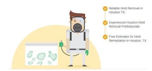All US Mold Removal Houston TX