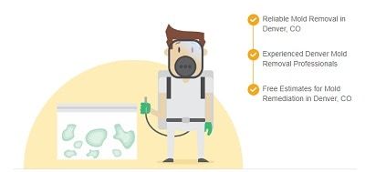 All US Mold Removal Denver CO | Mold Remediation Services