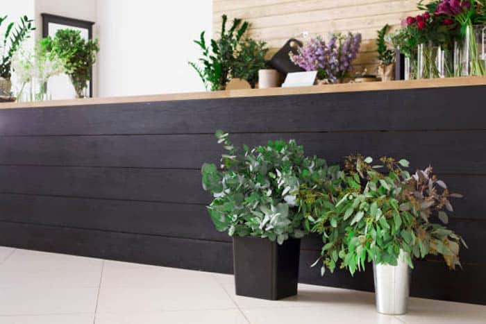 Kowhai Painters & renovators ltd || +64-2102172468