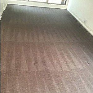 Aurora Carpet Cleaning