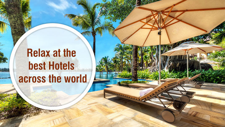 ziffytravels.com – Search Flights, Hotels and Vacation Packages