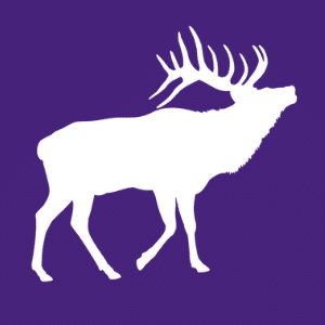 Colorado Web Impressions