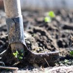 Things To Avoid When Applying Mulch On Your Garden
