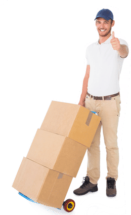 Best Moving Company Auckland – Trust Movers