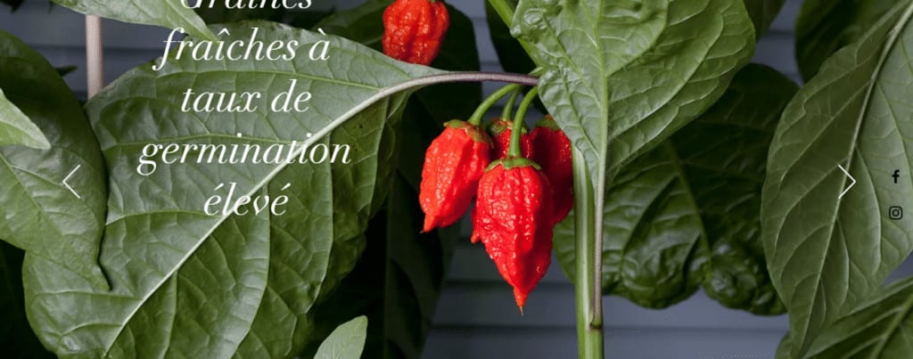 La Maison du Piment