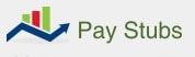 Pay Stub