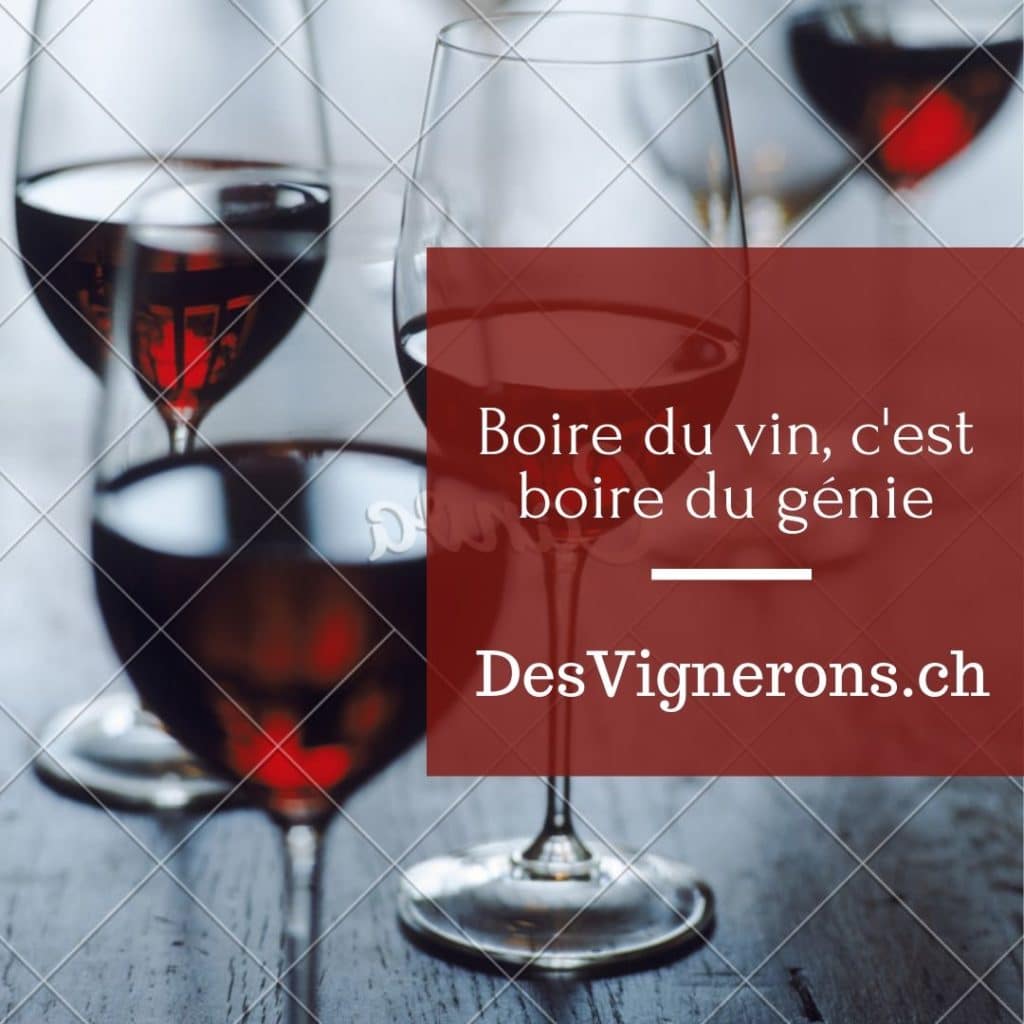 DesVignerons : Wine Tastings and Vineyard Tours