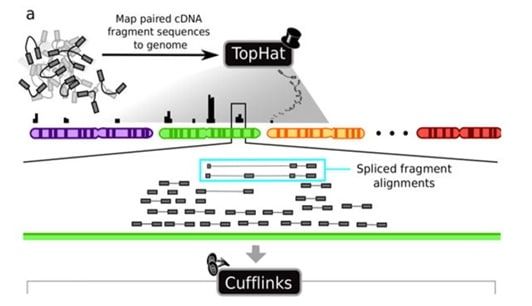 1010Genome Pte Ltd