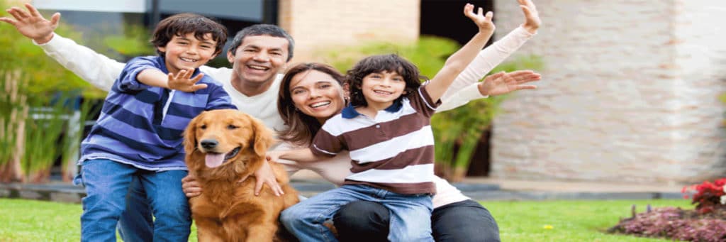 Termite Inspections Melbourne