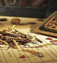 Giordano Acupuncture