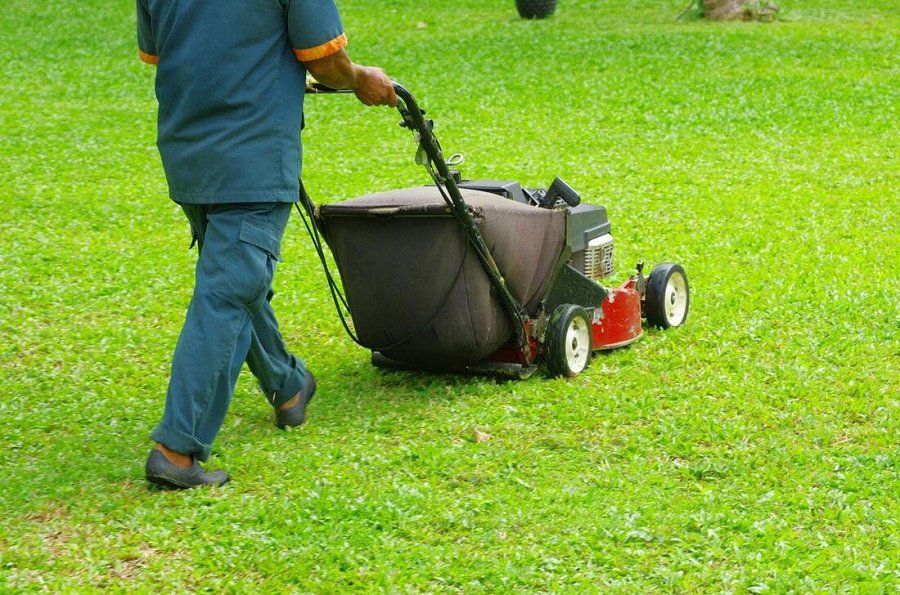 Colleyville Tree Service Company