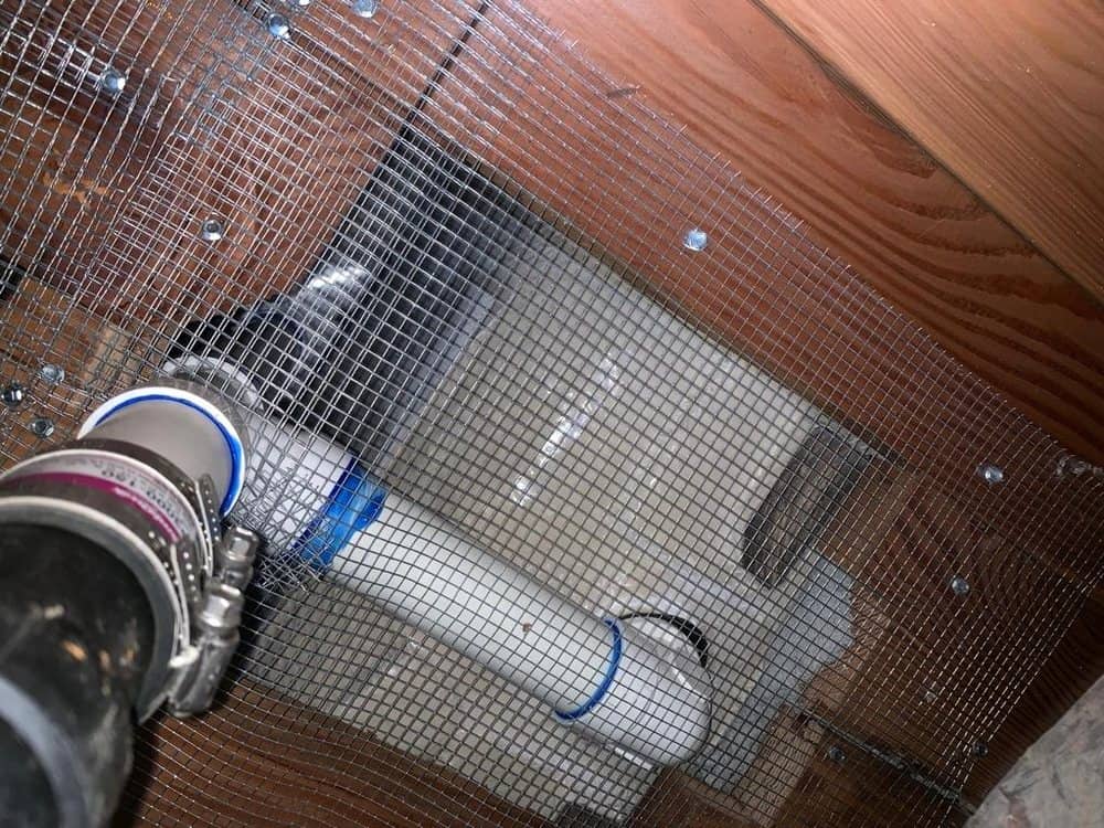 Sf Rodent Control