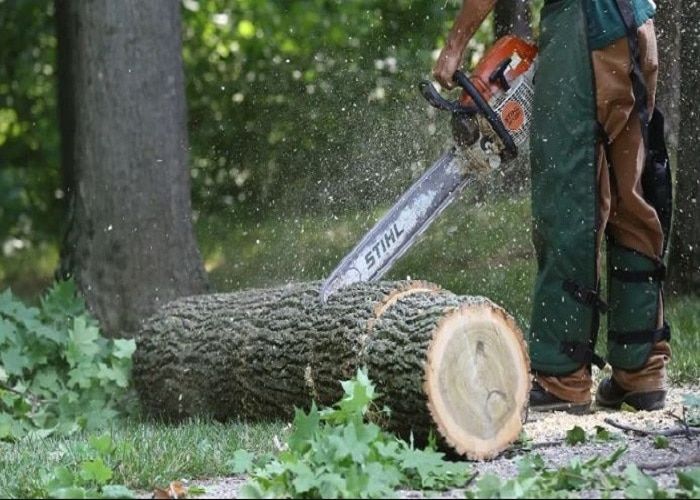 Keller Tree Service Pros