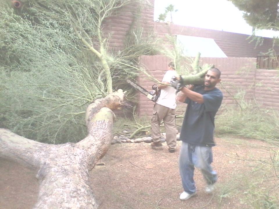 Action Yard and Tree Service Tucson AZ | Landscaping Company