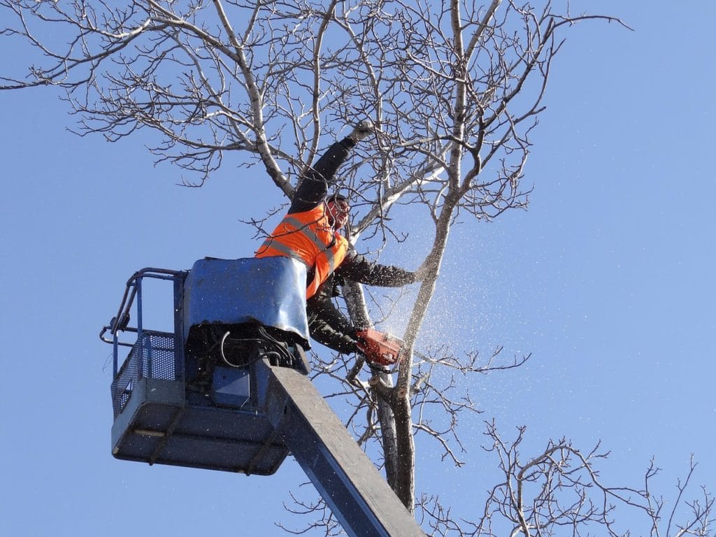 Tree Service Rochester Hills