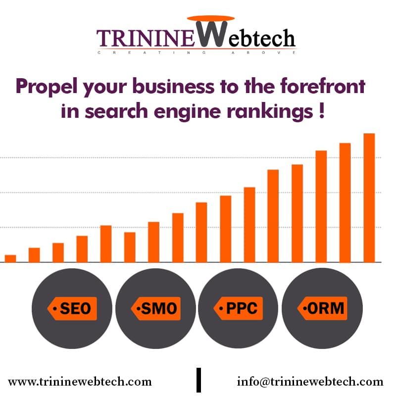 Best SEO, PPC Company,Services, Agency in Lucknow – Trinine Webtech