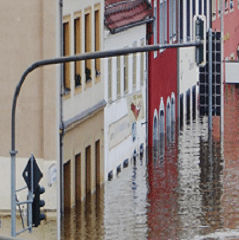 Truck & Commercial Auto Insurance