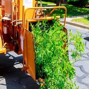Santa Clarita Tree Service