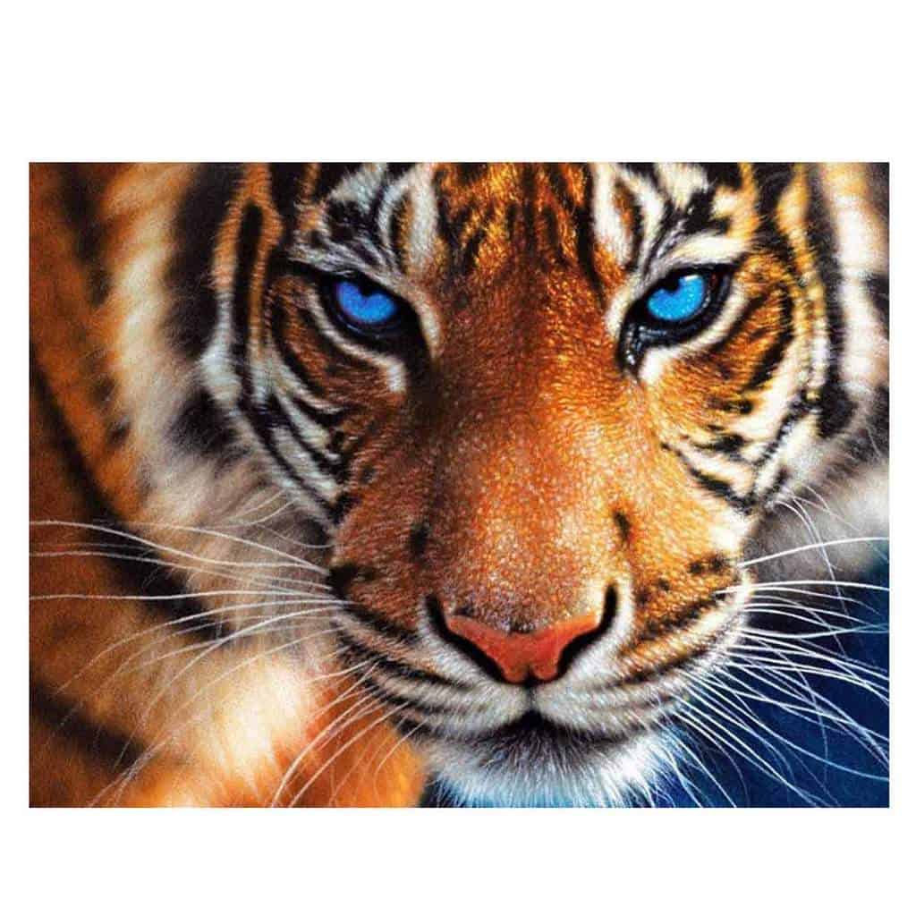 IdiyPaint