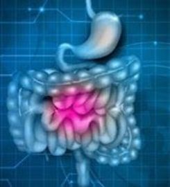 Manhattan Gastroenterology