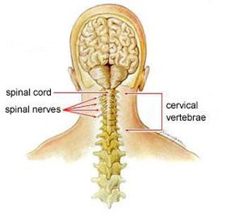 Lower Left And Right Side Back Pain